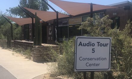 Phoenix Zoo: A drive through Experience